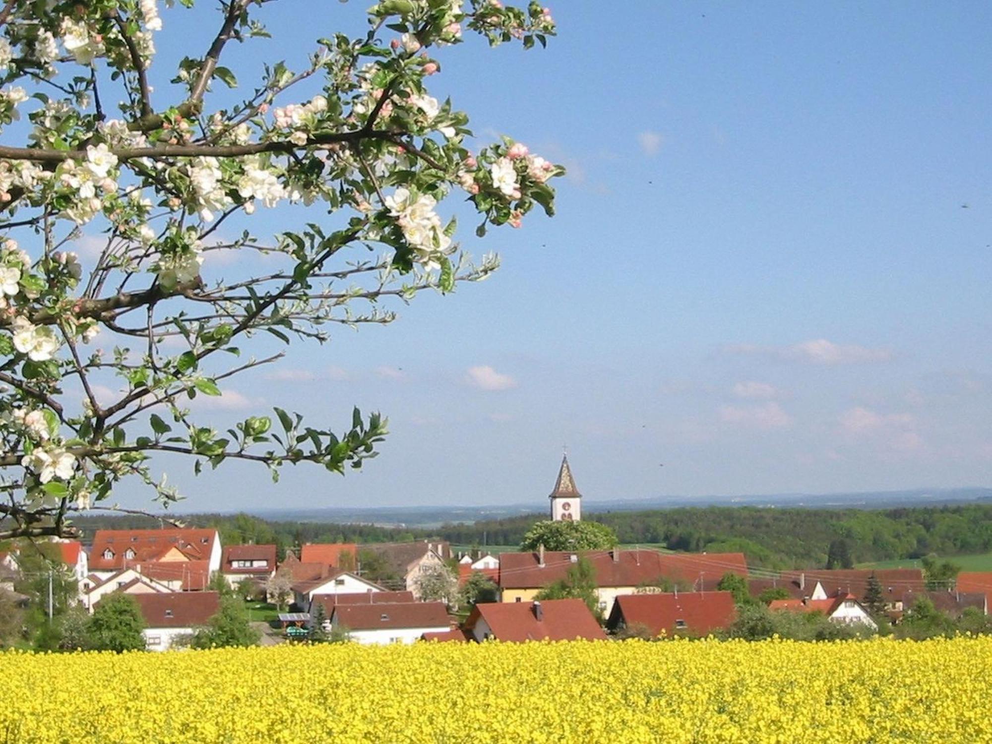 Kleine Auszeit Villa Thalheim  Exteriör bild